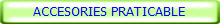 ACCESORIES PRATICABLE